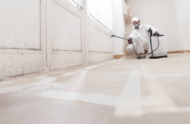 Black mold remediation team in Emmitsburg