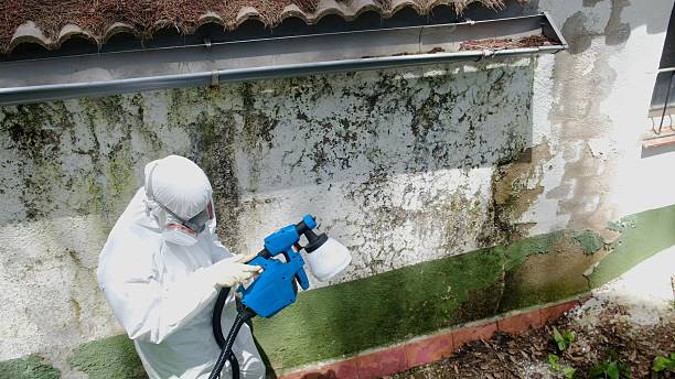 Mold Removal service in Emmitsburg